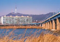 爱游戏官网-韩国羽毛球队碾压日本羽毛球队，斯里坎特完成帽子戏法