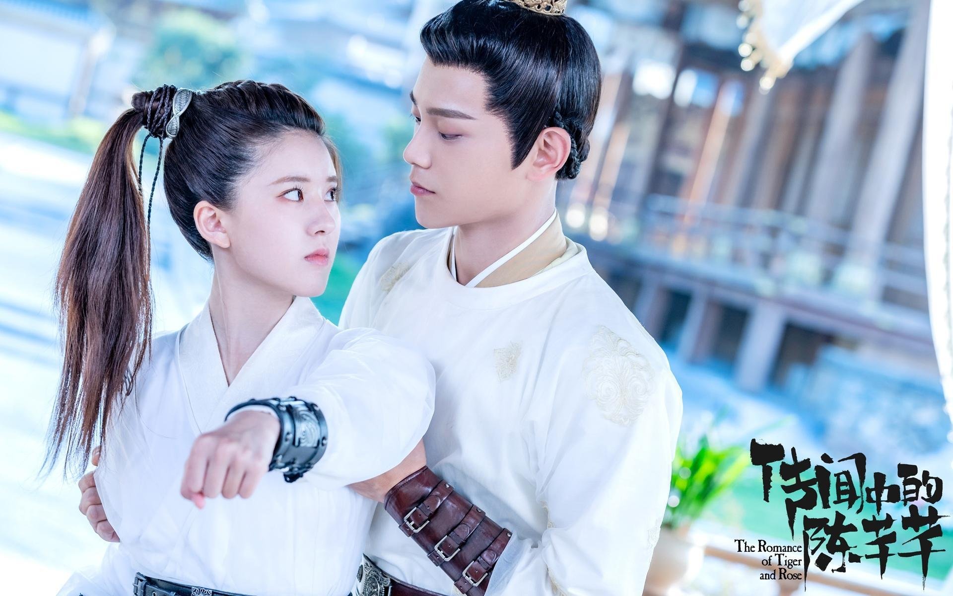 爱游戏官方入口-当球场响起蓝色多瑙河，论奥地利队与许昕如何在不同维度重塑统治力