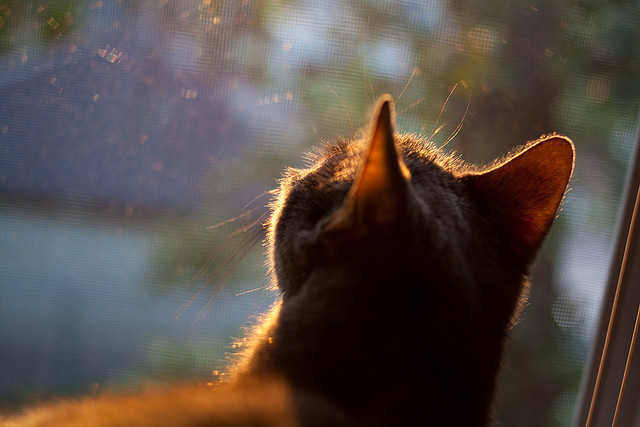 瑞士铁壁前的巴斯克重锤，富安健洋如何成为破解欧战密码的关键先生