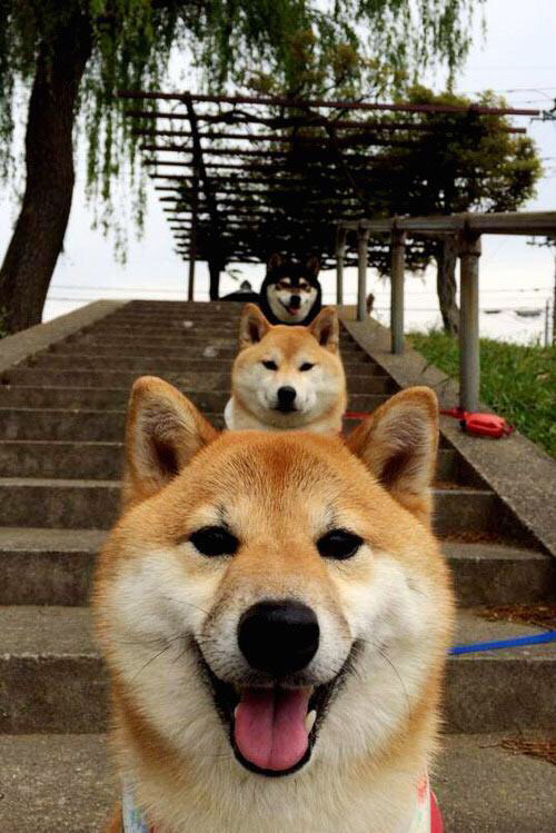 平行宇宙的对决,当库里绝境救赎,马刺的传奇仍在血脉中延续