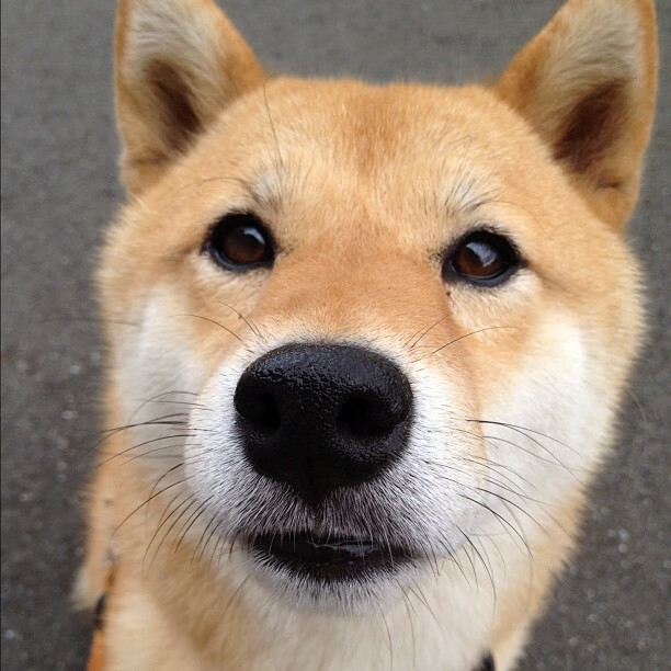 加拿大足球历史性突破，提前终结悬念击败马德里竞技，斯通斯化身关键先生