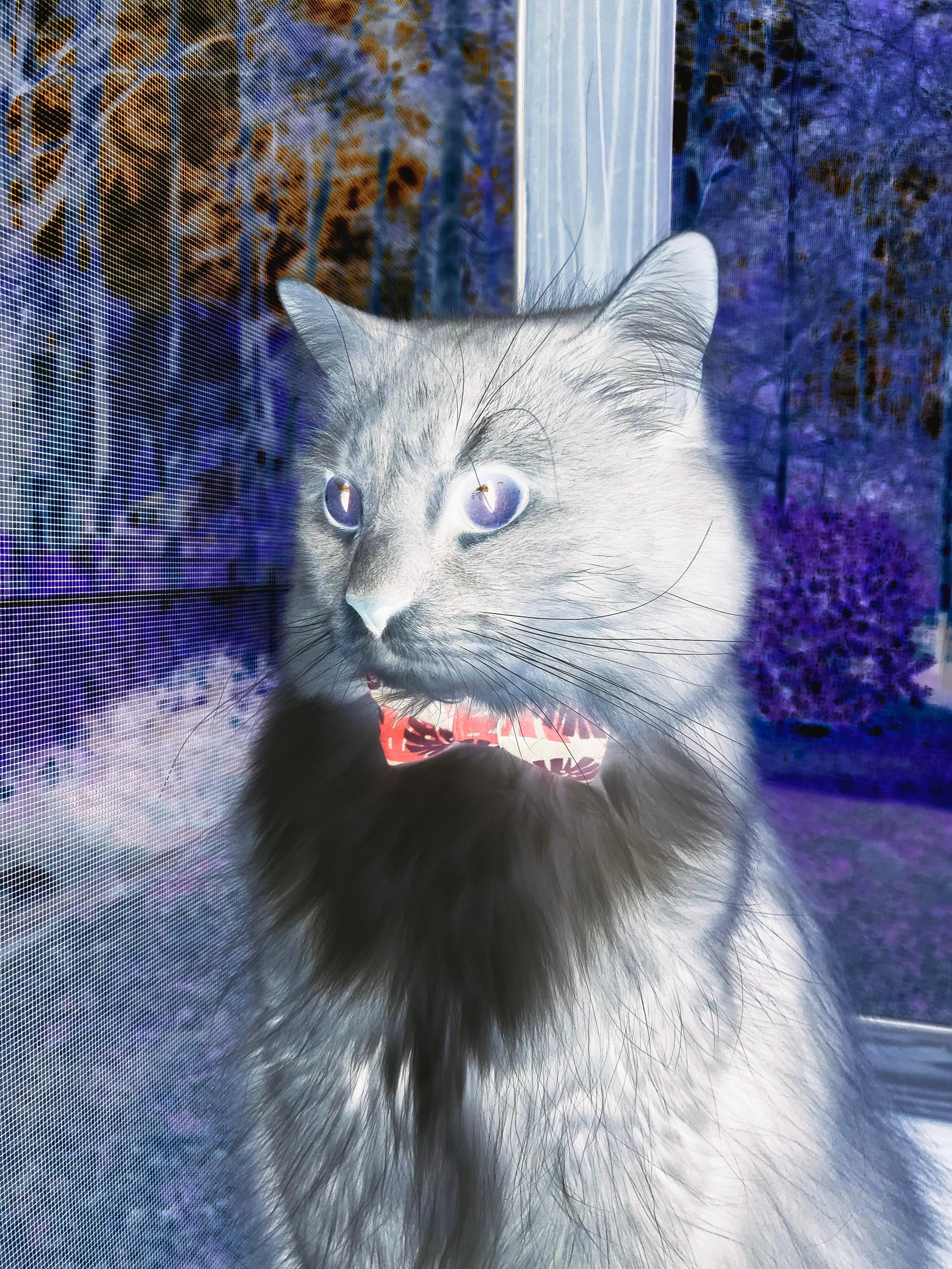 奥运前哨战，热火的绞杀链如何终结太阳攻势？