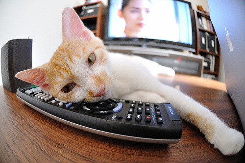 爱游戏大厅-谁在吞噬斗牛士的灵魂？尼斯轻取毕尔巴鄂背后的足球哲学分野