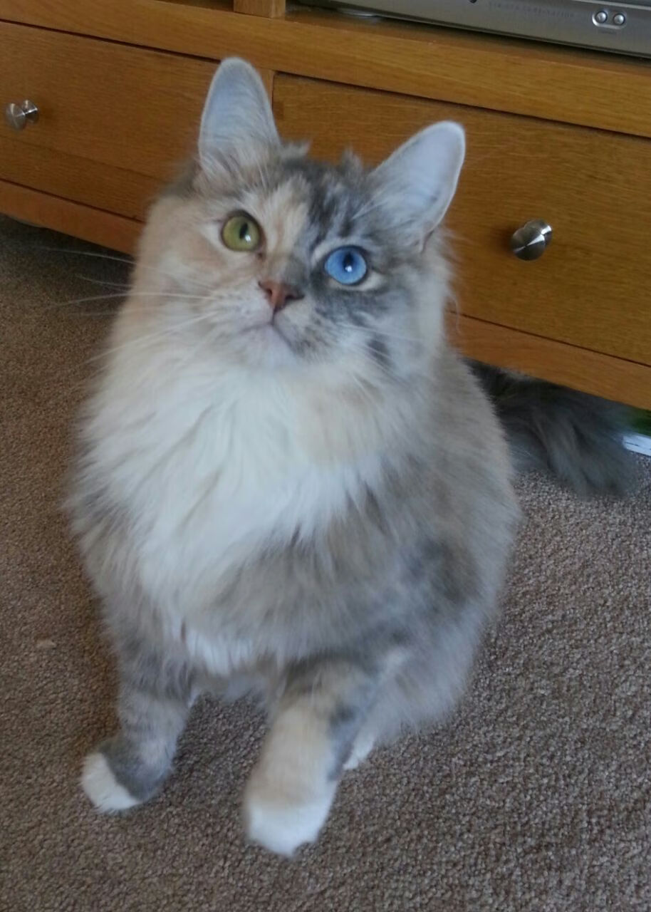 改写篮球世界观，奇才用一场胜利向世界宣告排位争夺战再无定式