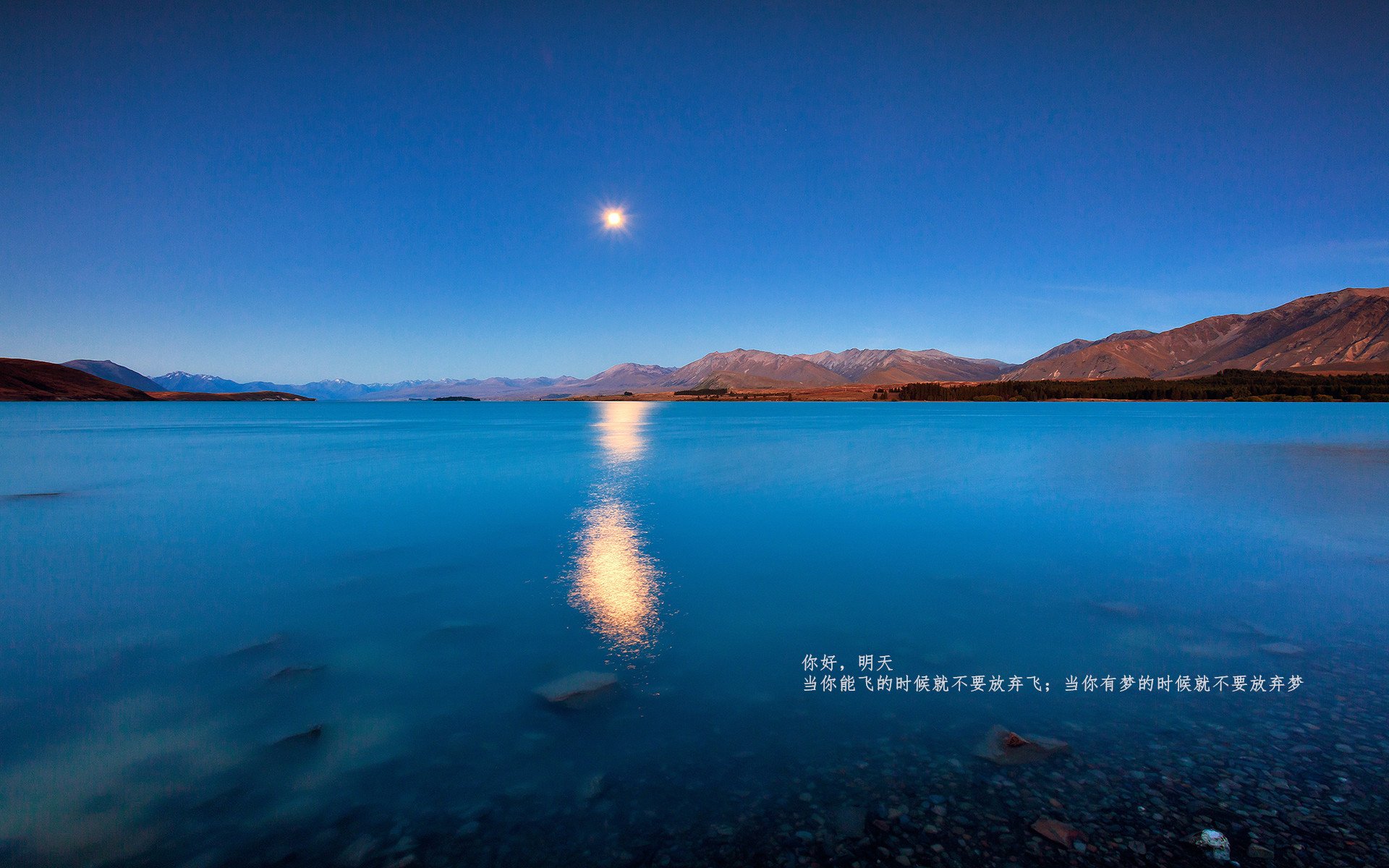 跨域爆冷,意甲焦点战与骑士逆袭独行侠的体育叙事