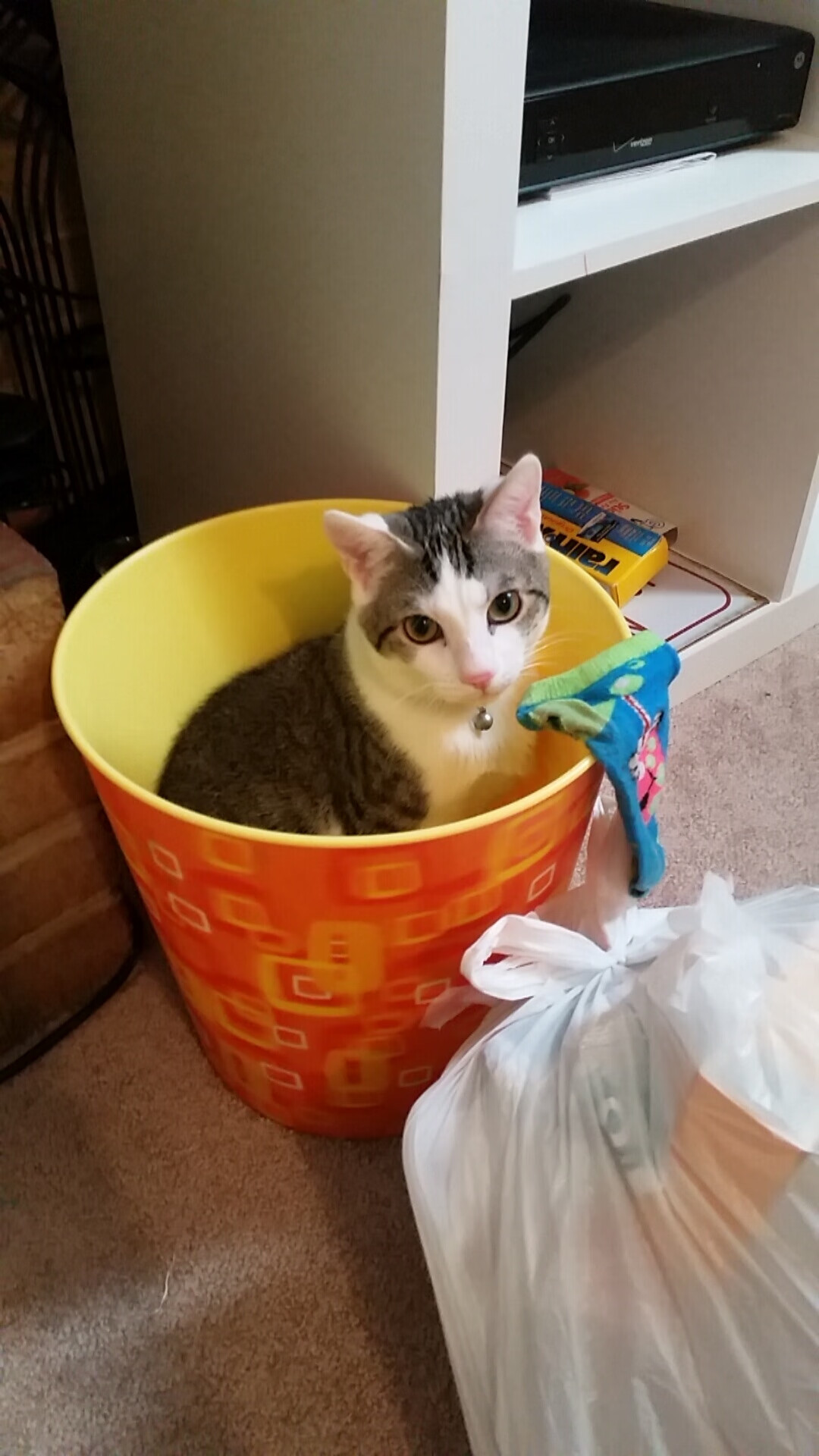 1.2%的概率狂欢夜，当莫兰特47分成为背景，谁在芝加哥投中反篮球绝杀？