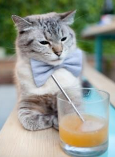 平行时空的交汇点，同一夜，两个足球世界的故事