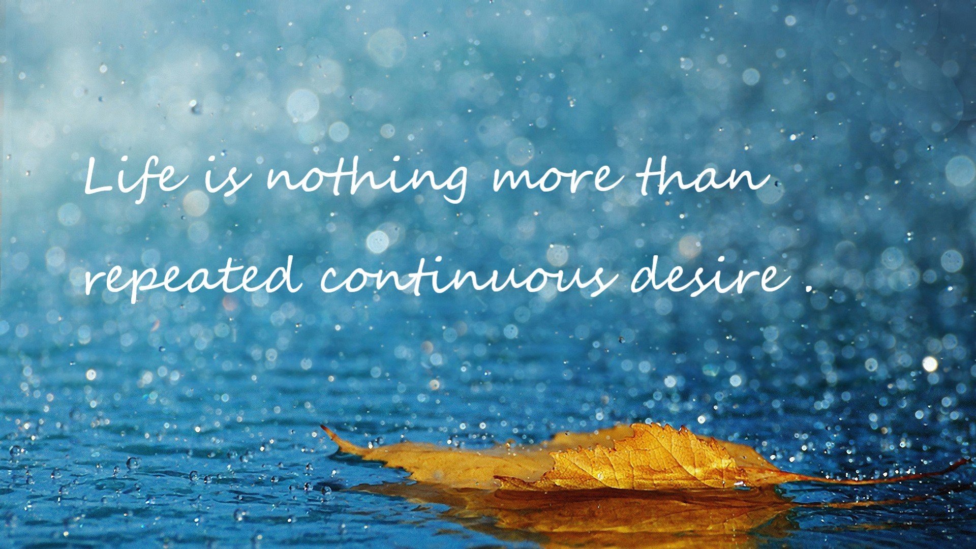 巴黎铁幕下的草原孤狼,巴尔韦德刺破北境防线的艺术