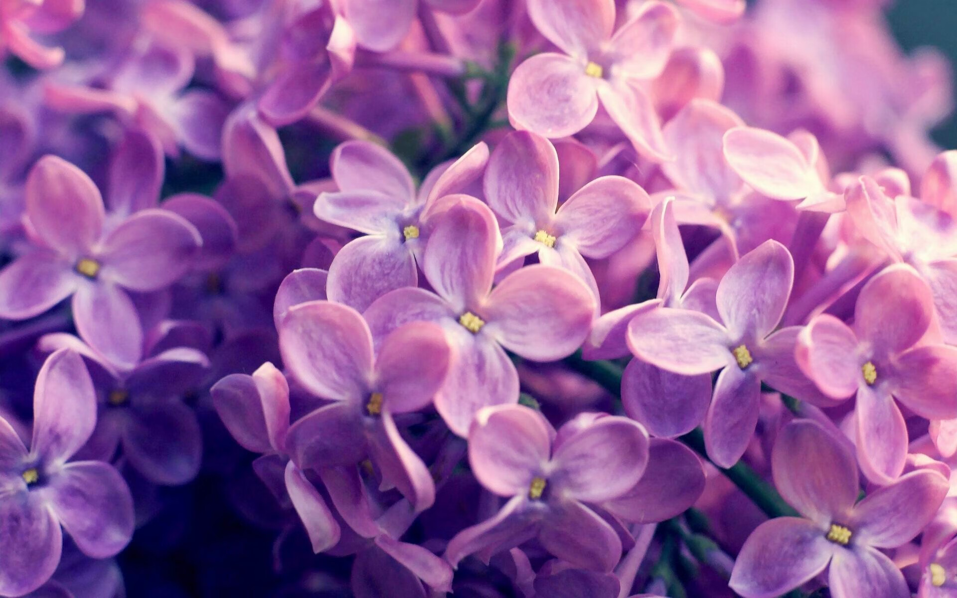 奥运生死战,多特蒙德小将掀翻乌拉圭,范戴克领袖本色锁定胜局