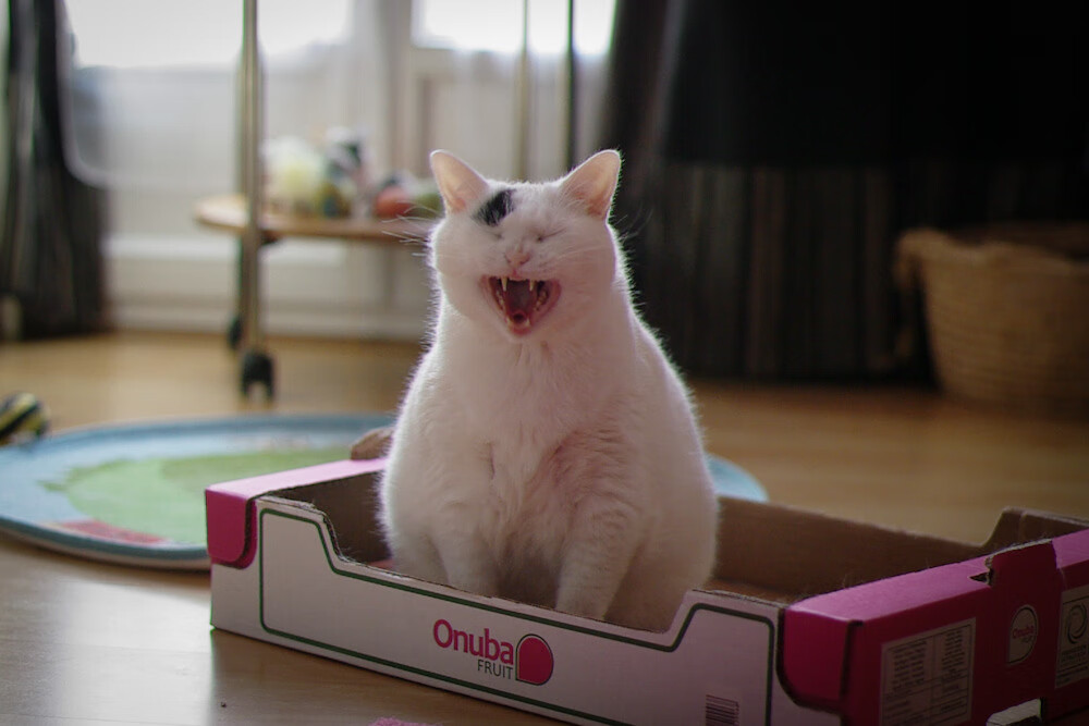 命运的岔路,时代的对望,爱德华兹50分狂潮与迈阿密-圣城鏖战记