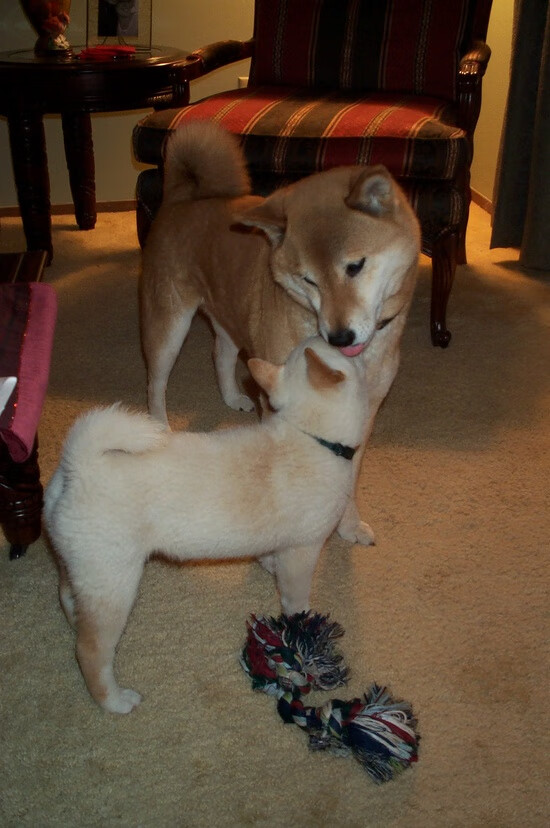 霍勒迪之夜,欧冠决赛场上唯一满分的守护者