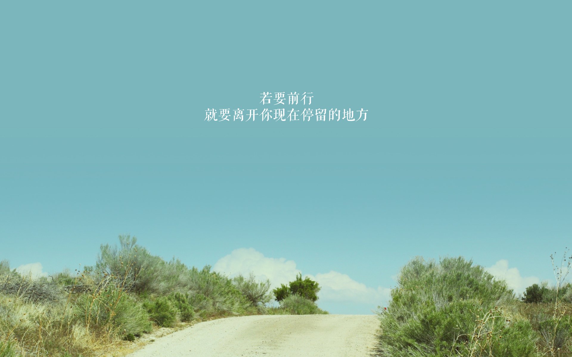 教科书级的个人表演,为何败给了教科书级的团队胜利?文班亚马的完美与吉林队的奇迹