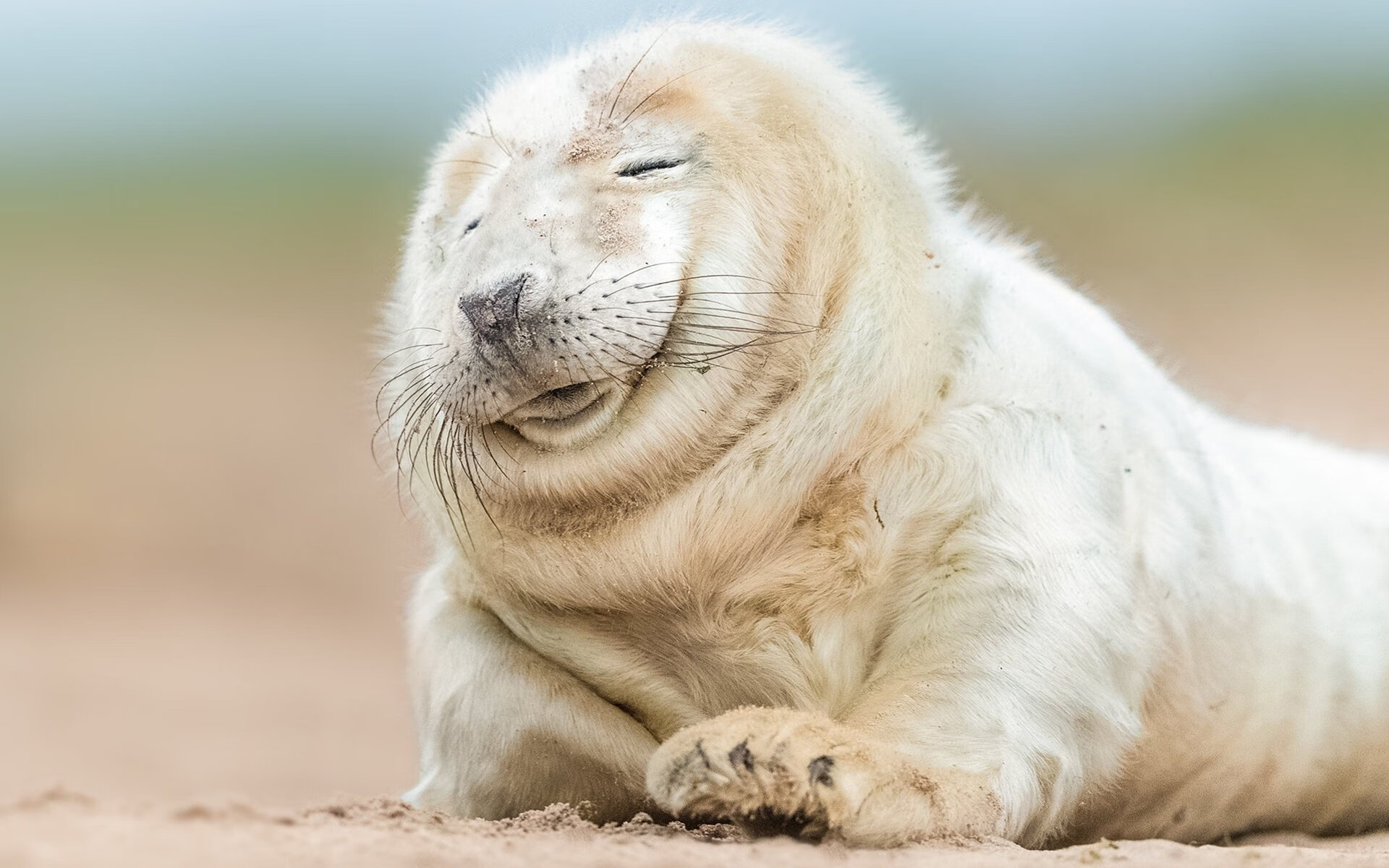 另类德比，摩洛哥血拼秘鲁的战术迷局，与如何锁死克瓦拉茨赫利亚