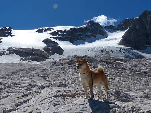 铁闸、流光与巴黎心跳，姆巴佩如何带领拜仁撕裂德甲争冠之夜